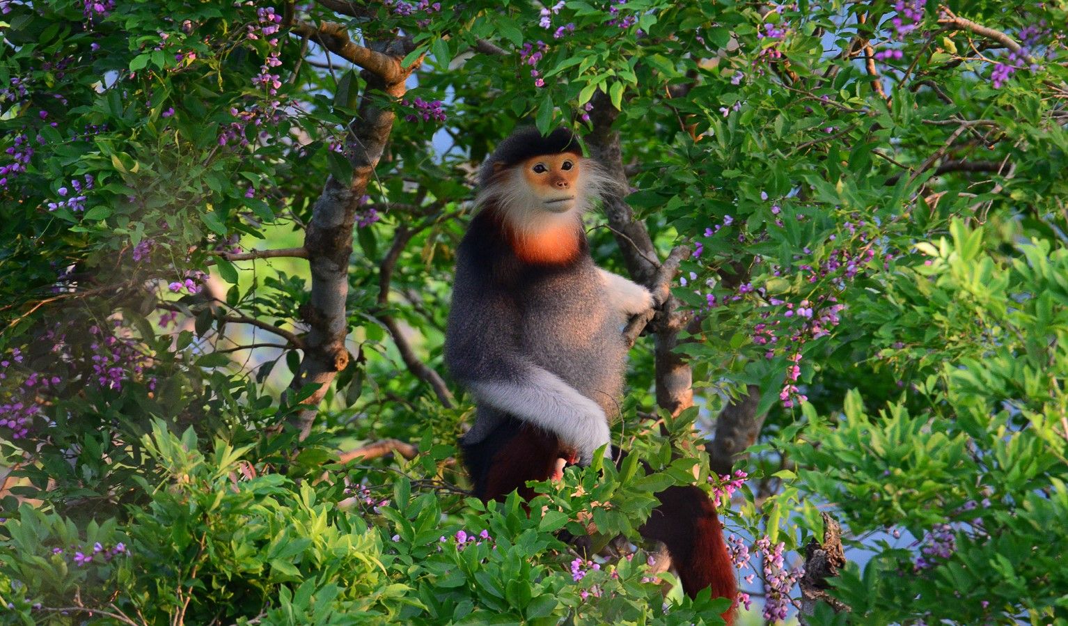 Bộ thẻ khí hậu dành cho trẻ em